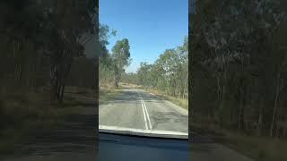 Back to sydney from Rockhampton travel australiatourism australianature exploreaustralia [upl. by Calia]