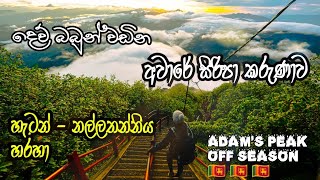 aware siripa karunawa 2023  අවාරේ සිරිපා කරුනාව 2023 HATTON  nallathanniya  adamspeak off season [upl. by Jacklyn111]