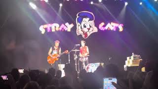 Stray Cats  Rock This Town  Live Bridgeport CT 81724 [upl. by Ojok952]