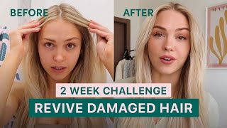 How I fixed my damaged hair in 2 weeks I COCO amp EVE [upl. by Granlund]