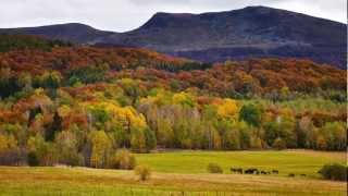 Bieszczady Jesienią  Kolorowe Szlaki [upl. by Sneve]