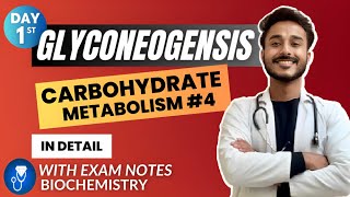 gluconeogenesis biochemistry  gluconeogenesis pathway biochemistry  carbohydrate metabolism bio [upl. by Eiblehs]