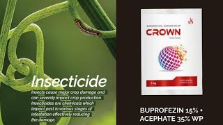 Buprofenzin 15Acephate 35WP  INSECTICIDE SUCKING PEST CONTROL hopper control [upl. by Drahnreb]