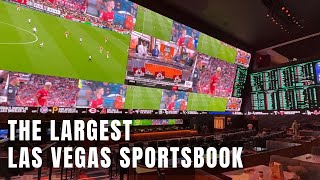 Walking Largest Sportsbook in Las Vegas at Circa Resort Downtown Las Vegas Hotel [upl. by Chaim]