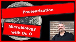 Pasteurization Microbiology [upl. by Merta713]