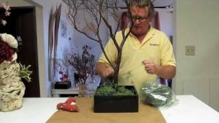 Manzanita Branch Centerpieces HowTo 1 [upl. by Bomke]