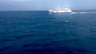 Spirit of Kangaroo Island vehicle ferry seen from Sealion 2000 [upl. by Em]