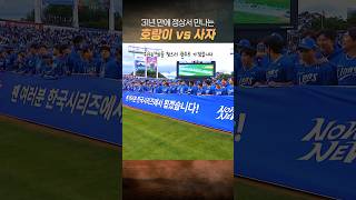 삼성 한국시리즈 진출 호랑이 vs 사자 [upl. by Ennyletak]