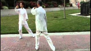 Two people mirror Tai Chi form 8 [upl. by Farny]