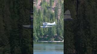 Beaver landing in Priest Lake [upl. by Llertnac82]