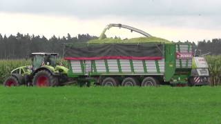 Maishäckseln 2014 XXL mit Claas Jaguar 960 u 980 Teil 2 [upl. by Golightly]