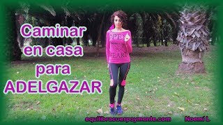 Caminar en casa para adelgazar  Cardio para principiantes para bajar de peso de bajo impacto [upl. by Ettezil253]