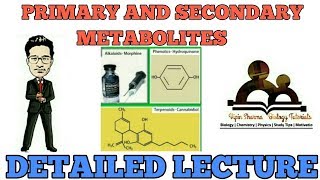 Primary and secondary metabolites in detail  NCERT for NEET AIIMS and JIPMER [upl. by Leiad298]