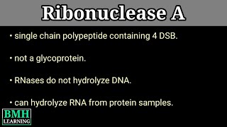 RNAse A  Ribonuclease A  Ribonuclease A Catalysis [upl. by Ellenij]