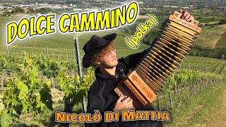 DOLCE CAMMINO POLKA Nicolò Di Mattia allievo del maestro Enzo SCACCHIA ORGANETTO [upl. by Ssegrub]