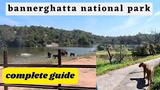 Bannerghatta national park bangalore safari  Zoo  Butterfly Park  complete guide [upl. by Bartley]