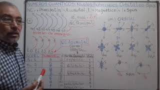 Números cuánticos Niveles y subniveles de energía Orbital Spin [upl. by Kciredohr200]