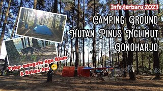 Camping Ground Hutan Pinus Nglimut Gonoharjo  Wisata Ungaran Kendal Semarang  Info Terbaru [upl. by Oikim]