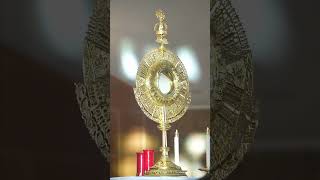 Regional Eucharistic Congresses [upl. by Siblee139]