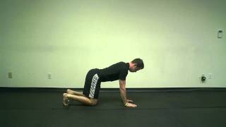 Quadruped Leg Lift  A functional exercise to strengthen your core [upl. by Inami478]