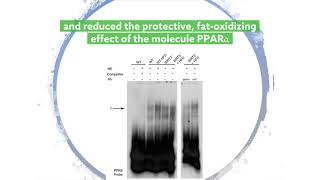 Enzyme deficiency worsens fatty liver disease [upl. by Nnylirej]