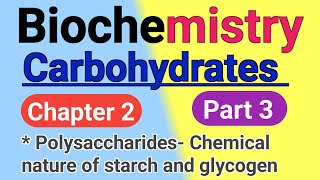 Polysaccharidestarch Glycogen Cellulose in hindi Dpharm 2nd year Biochemistry chapter 2 in hindi [upl. by Hedwig]