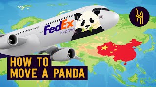 Why China Took the US’ Pandas [upl. by Ilsel493]