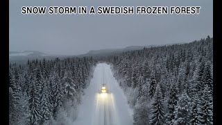 SNOW STORM IN A SWEDISH FROZEN FOREST [upl. by Almund124]