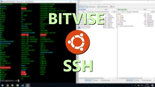 Connect to Ubuntu Server over SSH using Bitvise [upl. by Raddy612]