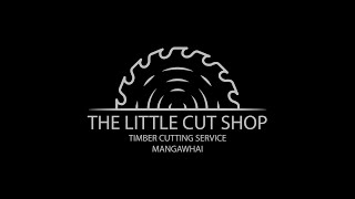 The Little Cut Shop [upl. by Barhos]