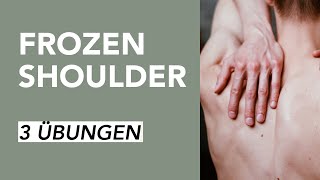 Übungen für Schulterschmerzen bei Frozen Shoulder  Liebscher amp Bracht [upl. by Hsirahc]