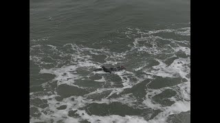 Surfing in Lockeport Rough Seas April 2023 Crescent Beach [upl. by Edmee974]