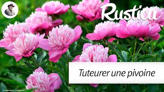 Tuteurer la pivoine [upl. by Trebo]