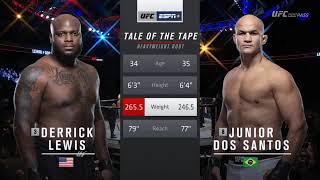 Junior dos Santos vs Derrick Lewis  HIGHLIGHTS HD  UFC Fight Night 146 [upl. by Notnek]