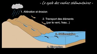 Le cycle des roches sédimentaires et laltération par Mme RuaultDjerrab [upl. by Yotal472]