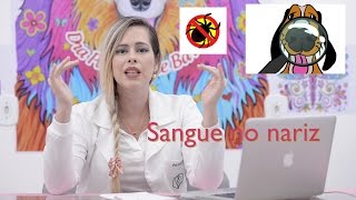 SANGUE PELO NARIZ DO SEU CÃO O QUE PODE SER  O QUE FAZER [upl. by Anwaf]