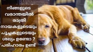 security system for Kerala home  നായയും പട്ടിയും സിറ്റ് ഔട്ടിൽ കേറാതിരിക്കുവാനുള്ള വിദ്യtech [upl. by Bilbe]