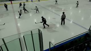 12U Essex Boys Vs U14 Essex Girls hockey youthhockey youthsports [upl. by Ummersen]