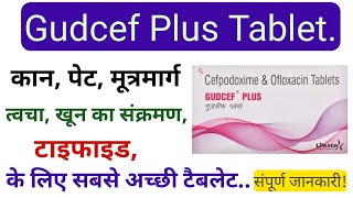 Gudcef Plus Tablet Use In Hindi  Use Side Effects Brand Name Warning’s [upl. by Leugimesoj74]