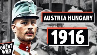 The Death Of The AustroHungarian Army 1916 Brusilov Offensive Documentary [upl. by Notniuqal]