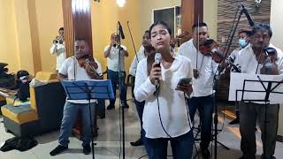 Mix Ana Gabriel Talismán No entiendo Hechizo Mariachi de mi tierra cover [upl. by Nythsa]