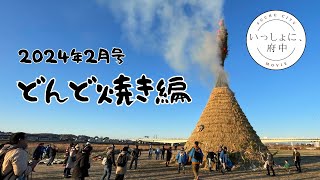 いっしょに、府中 2024年2月号～どんど焼き編～ [upl. by Kerrill]