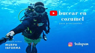 tour de buceo en Cozumel 4K  sin tener que saber nadar [upl. by Aissatan]