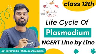 Malaria  Life Cycle of Plasmodium  Class 12  NEET Biology  Human Health and Diseases [upl. by Tepper]