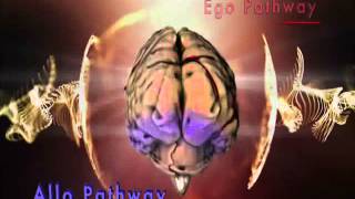 Dr James Austin Egocentric and Allocentric Brain Pathways [upl. by Adnac923]