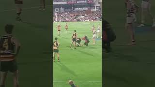 AFL Adelaide Oval Pitch Invader Cops Lifetime Ban  10 News First [upl. by Adlig]