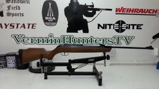 The Gamo 440 Hunter Review HD [upl. by Philipps287]