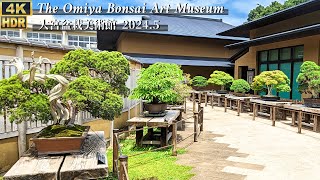 The Omiya Bonsai Art Museum in Japan in May 2024 大宮盆栽美術館 4K HDR [upl. by Bocock]