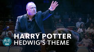 John Williams  Hedwig’s Theme Harry Potter  WDR Funkhausorchester [upl. by Yeslek783]