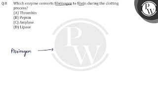 Which enzyme converts fibrinogen to fibrin during the clotting process [upl. by Neyuh206]